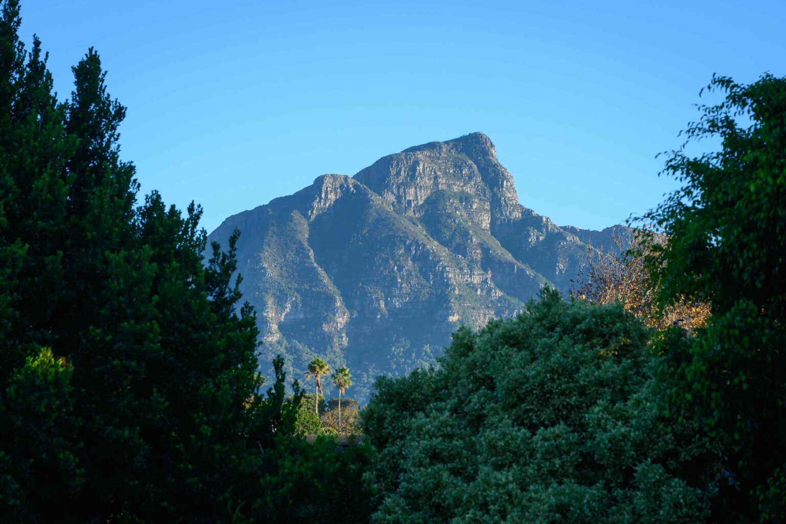 Table Mountain